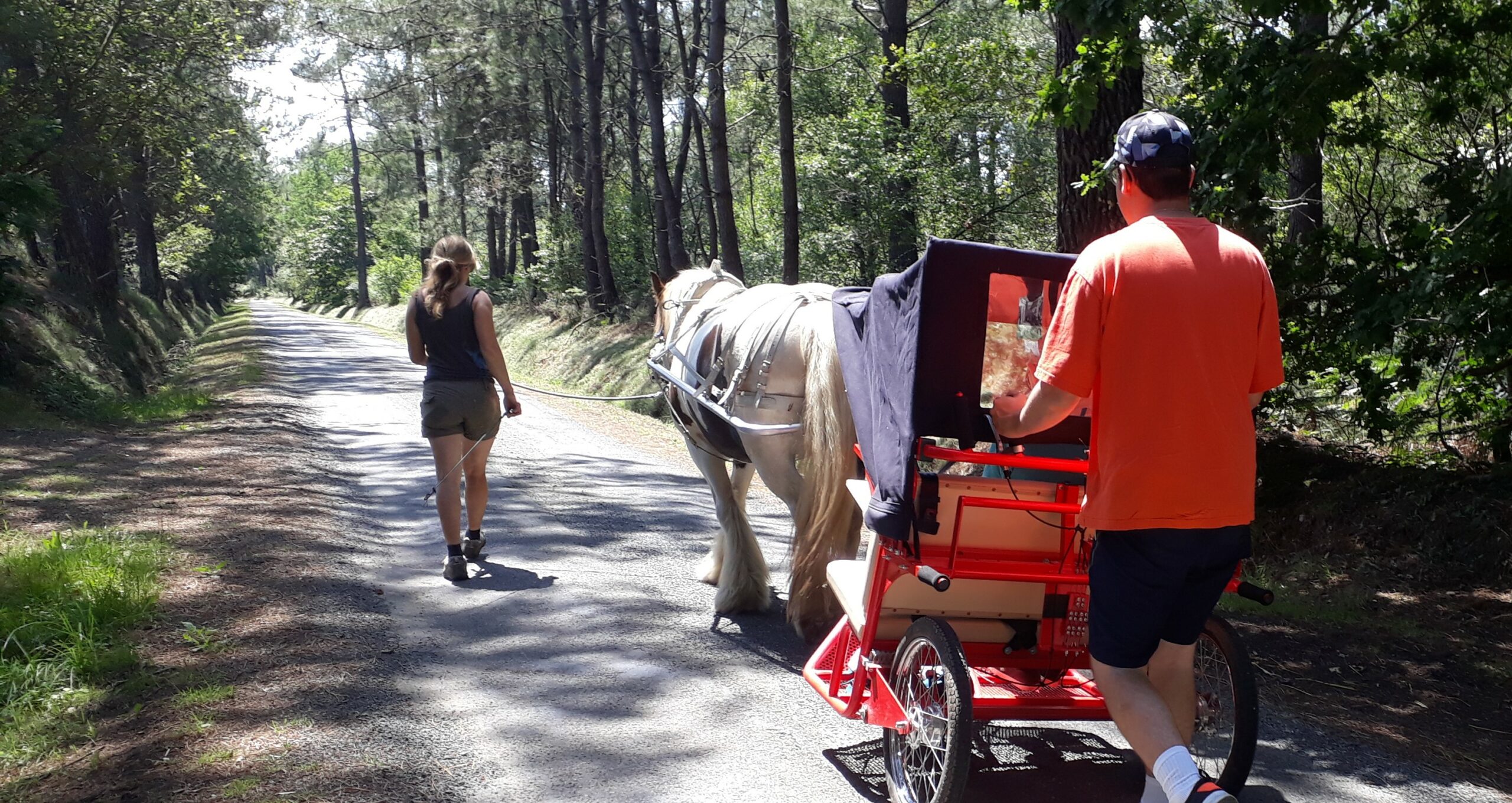 randonnée avec le cheval la bohème, mobilité réduite à Plourivo